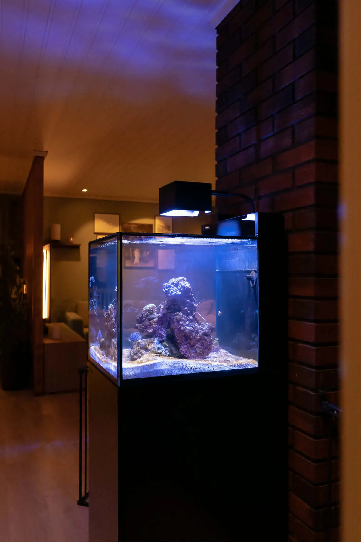 Red Sea ReefLed G2 60 Shade